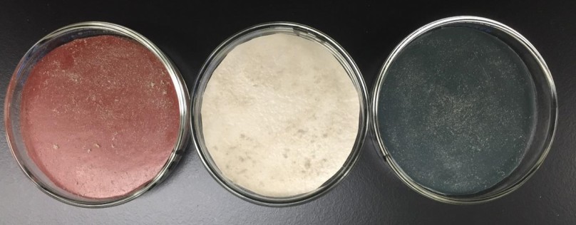 Vinyl flooring materials inside petri dishes and seeded with house dust for experimentation
