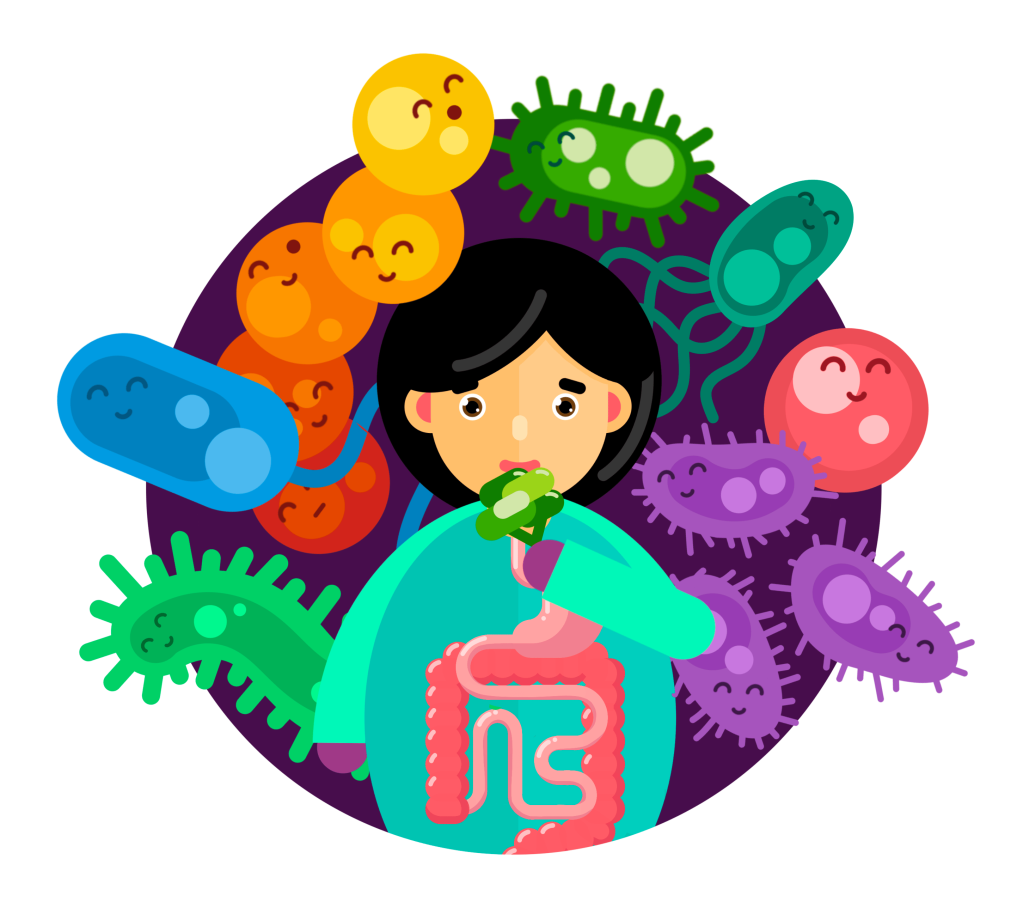 A cartoon of a woman eating broccoli, with the digestive tract shown on her shirt, and smiling microbes in the background.