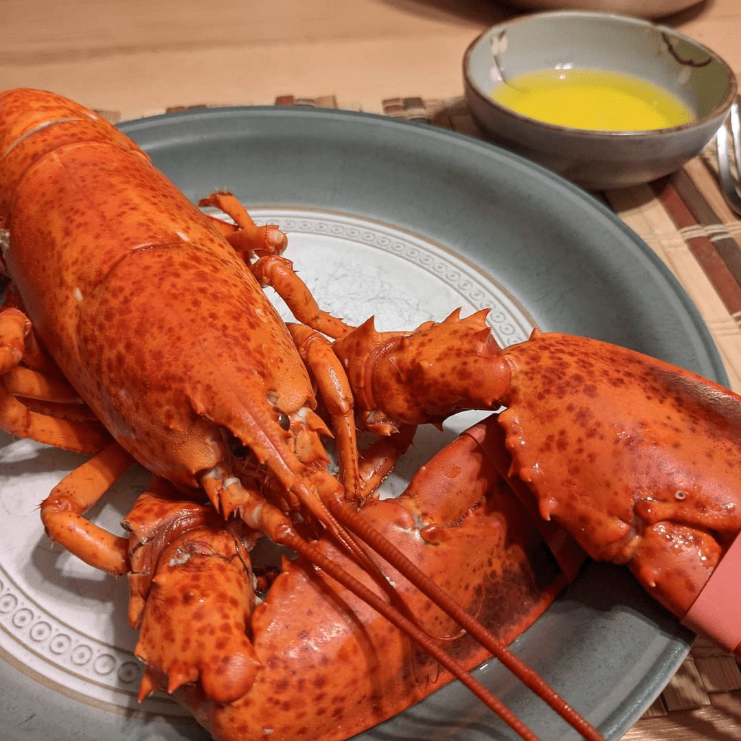 A steamed lobster on a plate.