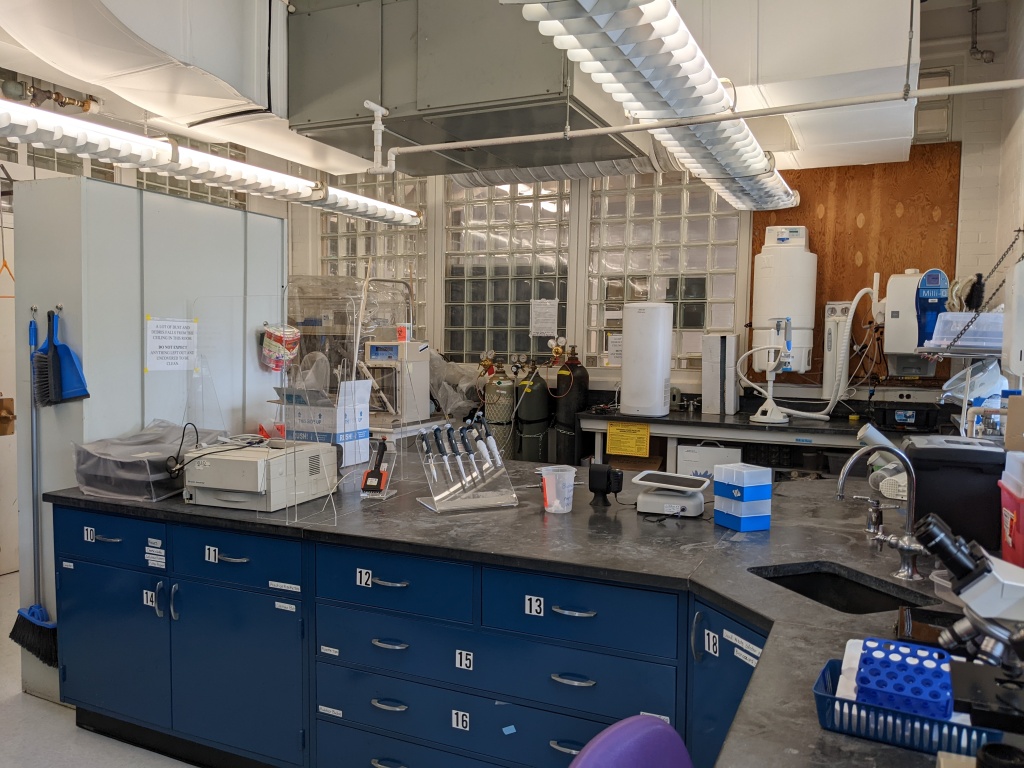 A microbiology lab, with an anaerobic chamber and a reverse osmosis water purification machine along the back wall, a cabinet to the left, a black-topped lab bench in the midground with dark blue metal cabinets underneath.