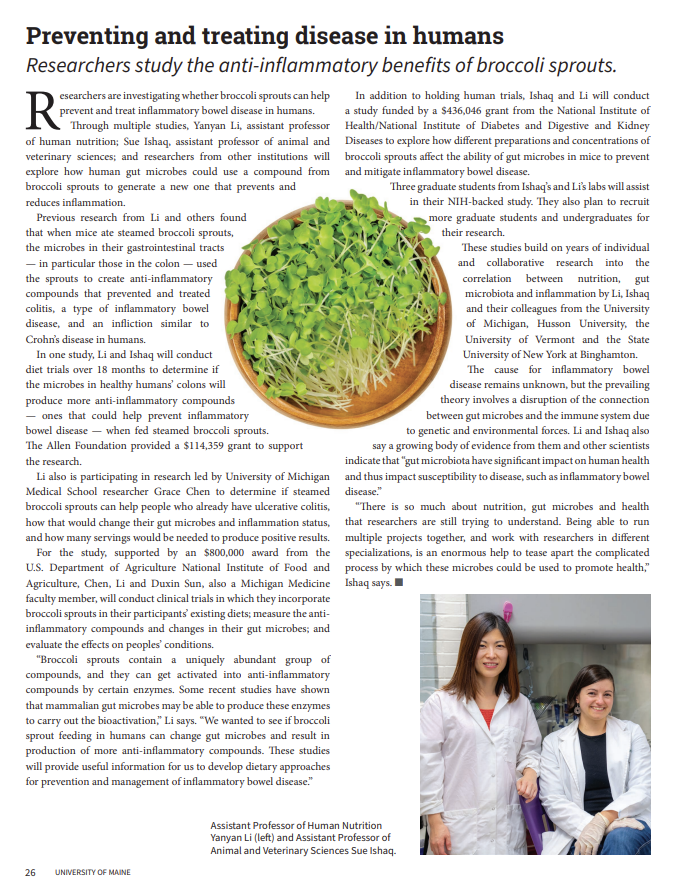 Screenshot of an article on broccoli research from the UMaine Annual Research Report. The text of the article can be found in that report.